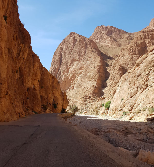 Todgha Gorges