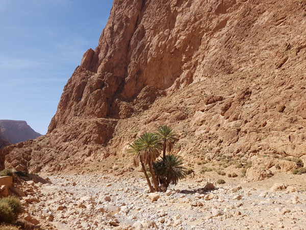 Todgha Gorges