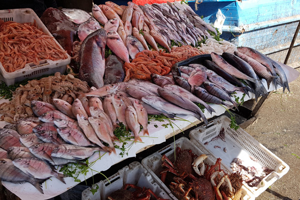 Hafen Essaouira