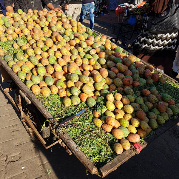 Essaouira