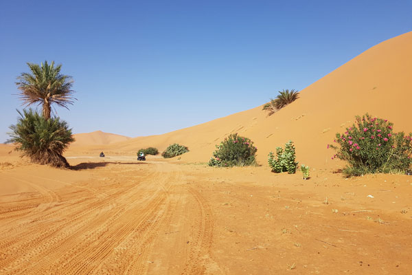 Erg Chebbi - Oktober 2022