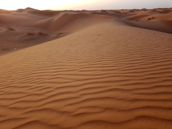 Erg Chebbi - Oktober 2022