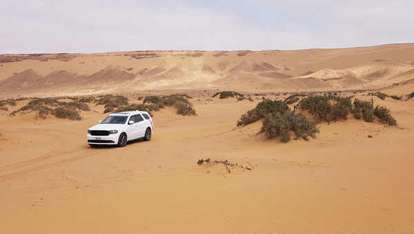 Auf dem Weg zum Ksar Tafnidilt