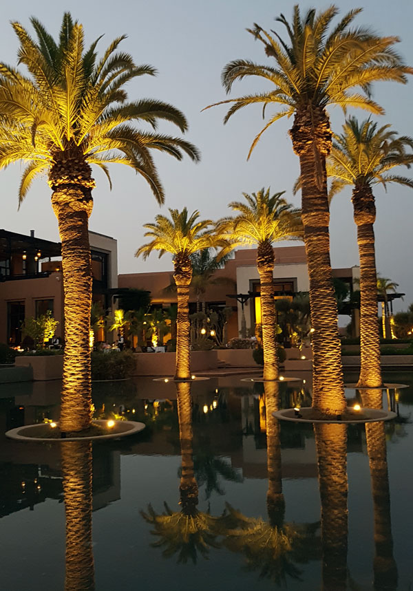 Palmen im Fairmont Hotel in Marrakesch