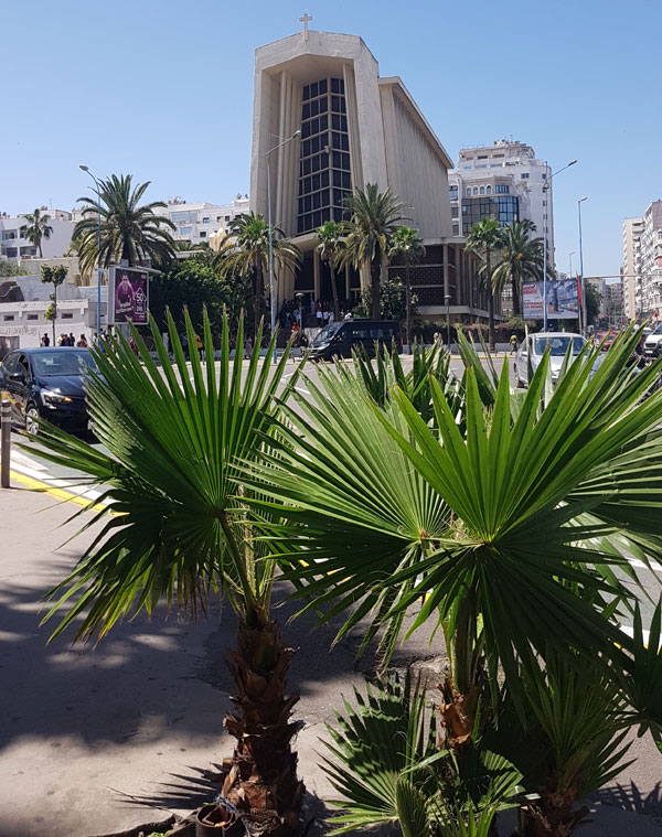 Casablanca