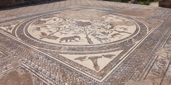 Mosaik Volubilis