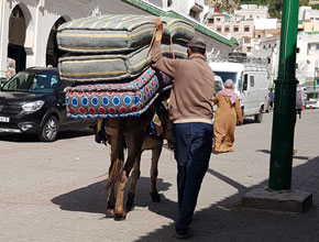 Moulay Idriss