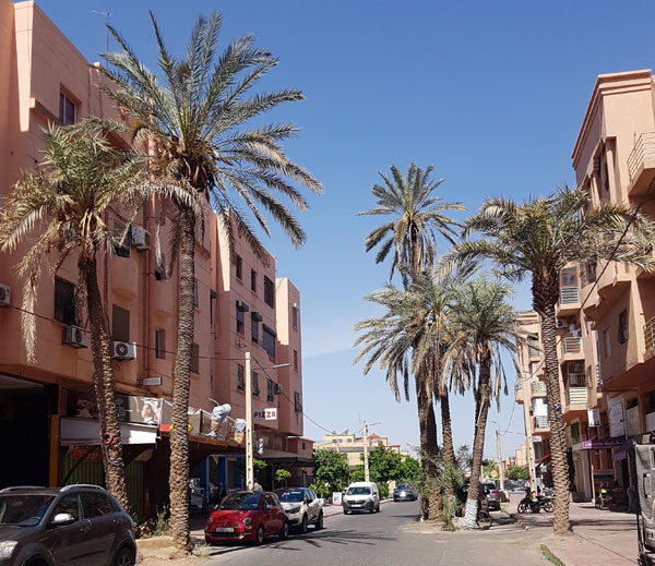 Palmem Marrakech