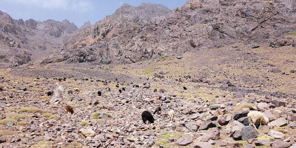 Abstieg vom Toubkal